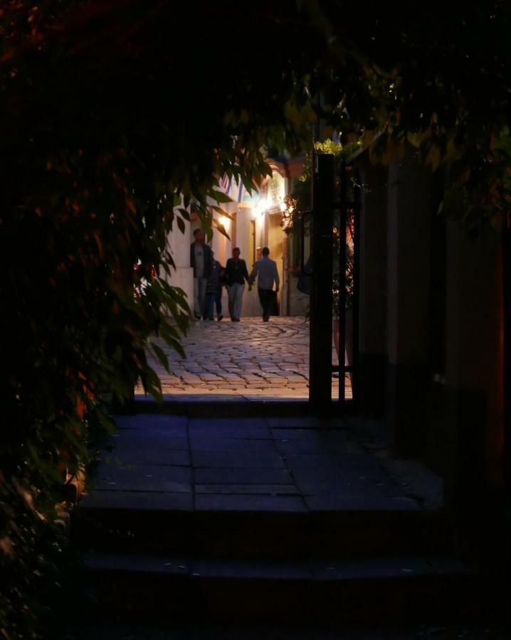 Sunflower Apartment Krakow Bagian luar foto