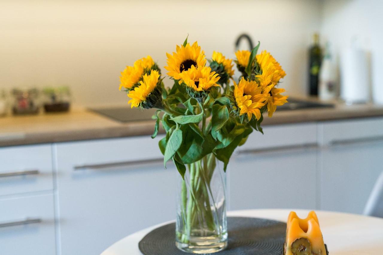 Sunflower Apartment Krakow Bagian luar foto